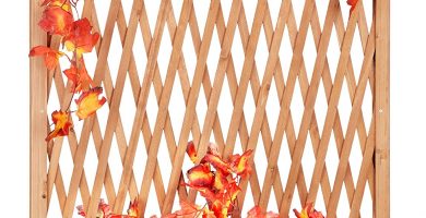 Celosía Planta Trepadora