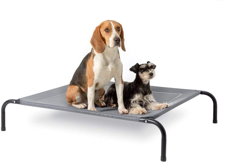 Cama Mascota Exterior Lavable