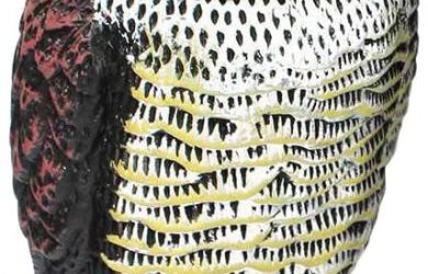 Búho Espantapájaros, Gira la Cabeza con el Viento,