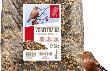 Alimentación para Pájaro - 5kg con Insectos