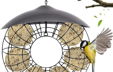 Alimentador de Pájaros de Metal