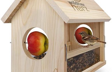 Comedero para Aves