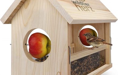 Comedero para Aves, Pájaros de Madera