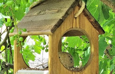 Comedero para pajaros SPARROW