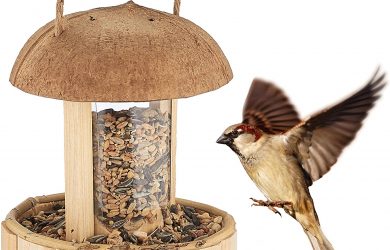Comedero para pájaros de Madera redondo