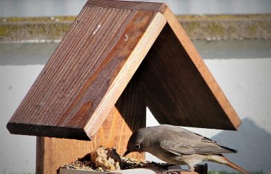 comedero para pajaros 'Huis'