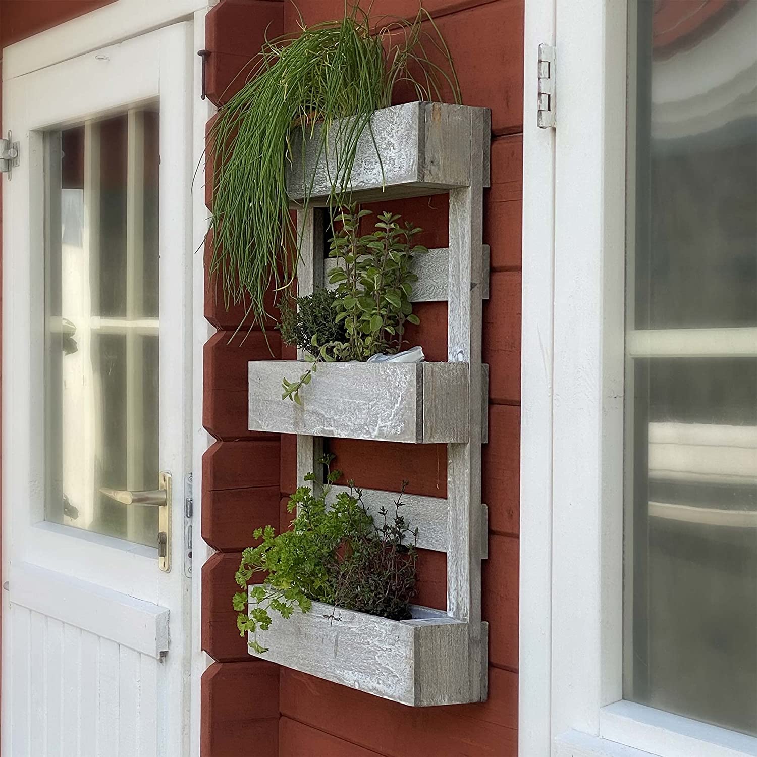 Palés decorativos para plantas