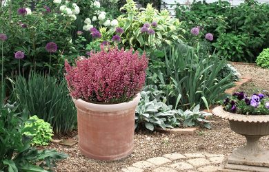 Macetas Terracota Grandes 62x62x55 cm