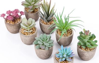 Plantas Suculentas Artificiales